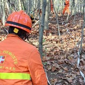 Bornate e la rete dei sentieri: pulizia, sicurezza e manutenzioni grazie a Regione e volontari