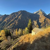 Alpe Brusà, conclusi i lavori di messa in sicurezza del cantiere di esbosco Alpe Brusà, conclusi i lavori di messa in sicurezza del cantiere di esbosco