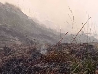 Alpe Noveis, bruciati 12 ettari, ancora Canadair in azione