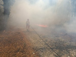 Gattinara, incendio nei pressi di San Sebastiano: rapido intervento dei volontari AIB Gattinara, incendio nei pressi di San Sebastiano: rapido intervento dei volontari AIB