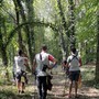 Arcieri del Sesia, Davide Bozzo Rolando conquista il titolo regionale nel tiro di campagna Arcieri del Sesia, Davide Bozzo Rolando conquista il titolo regionale nel tiro di campagna