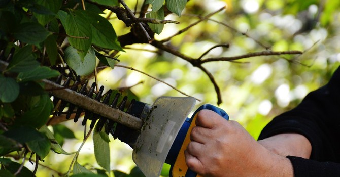 Varallo, al via il progetto “Varallo Verde”: nuovo cantiere di lavoro per disoccupati - foto di repertorio