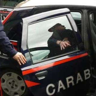 Dal novarese: Spaccio nei boschi di Oleggio, arrestato 29enne con eroina, hashish e 1.770 euro in contanti