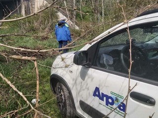 Incendio Monte Barone, inquinamento atmosferico: PM10 sopra la media