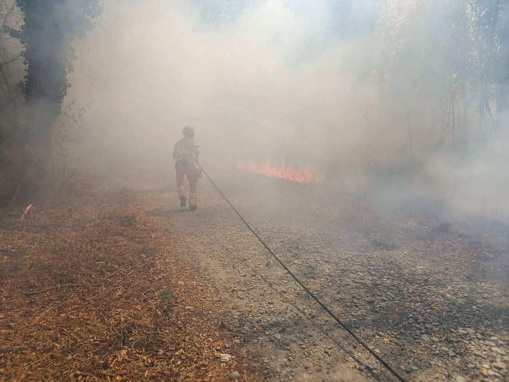 Gattinara, incendio nei pressi di San Sebastiano: rapido intervento dei volontari AIB