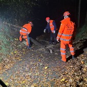 AIB Varallo Pombia, immediato banco di prova dopo il corso: volontari subito in azione per alberi caduti AIB Varallo Pombia, immediato banco di prova dopo il corso: volontari subito in azione per alberi caduti