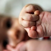 Salute, Hantavirus Andes, Nursing Up: "Infermieri e ostetriche prime sentinelle del rischio biologico, ma le tutele restano inadeguate"
