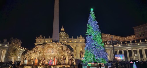 L’Albero dono di Macra e delle montagne del Piemonte brilla in piazza San Pietro in Vaticano