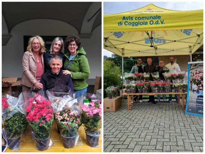 AVIS Coggiola scende in piazza con le azalee della ricerca di AIRC (foto di repertorio)