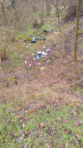 Area boschiva vicino alla Madonna di Rado vittima di abbandono - foto dalla pag. fb del Comitato SalvAmbiente Gattinara