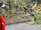 Ancora alberi sulla strada, intervento a Trivero (foto di repertorio)