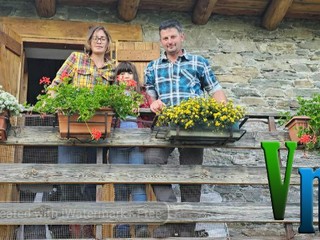 Nel cuore della montagna: la scelta di vita di Davide e Alessia, tra animali, formaggi e libertà VIDEO
