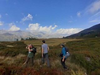 All’Alpe Sorbella biodiversità e pascoli al centro: i monitoraggi confermano i primi risultati