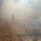 Gattinara, incendio nei pressi di San Sebastiano: rapido intervento dei volontari AIB Gattinara, incendio nei pressi di San Sebastiano: rapido intervento dei volontari AIB
