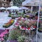 Achillea Ewulebi 2025: natura, arte e tradizione tra le montagne di Alagna FOTO