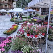 Achillea Ewulebi 2025: natura, arte e tradizione tra le montagne di Alagna FOTO