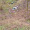 Area boschiva vicino alla Madonna di Rado vittima di abbandono - foto dalla pag. fb del Comitato SalvAmbiente Gattinara Area boschiva vicino alla Madonna di Rado vittima di abbandono - foto dalla pag. fb del Comitato SalvAmbiente Gattinara