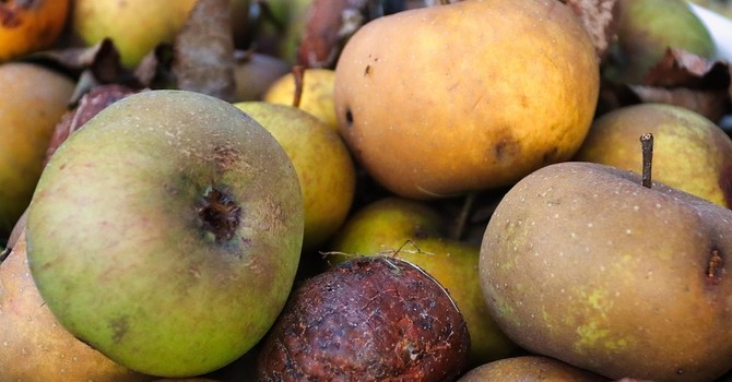 Giornata nazionale di prevenzione dello spreco alimentare, le iniziative in Piemonte