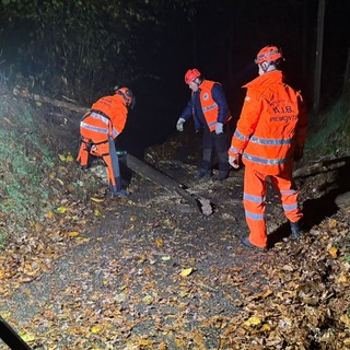 AIB Varallo Pombia, immediato banco di prova dopo il corso: volontari subito in azione per alberi caduti