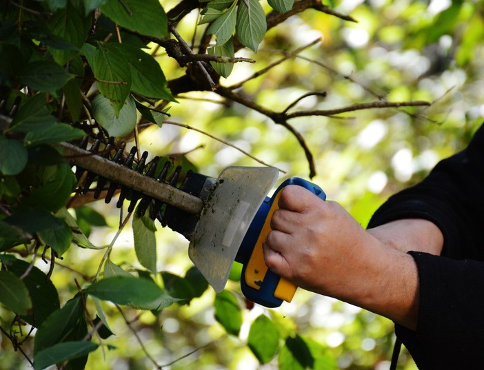 Varallo, al via il progetto “Varallo Verde”: nuovo cantiere di lavoro per disoccupati - foto di repertorio