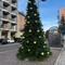 Luci e magia: a Quarona arriva il grande albero di Natale Luci e magia: a Quarona arriva il grande albero di Natale