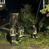 Dal nord ovest: Violento temporale nell'Alessandrino, numerosi interventi dei Vigili del Fuoco nella notte Dal nord ovest: Violento temporale nell'Alessandrino, numerosi interventi dei Vigili del Fuoco nella notte