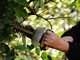 Varallo, al via il progetto “Varallo Verde”: nuovo cantiere di lavoro per disoccupati - foto di repertorio