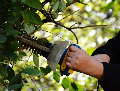 Varallo, al via il progetto “Varallo Verde”: nuovo cantiere di lavoro per disoccupati - foto di repertorio Varallo, al via il progetto “Varallo Verde”: nuovo cantiere di lavoro per disoccupati - foto di repertorio