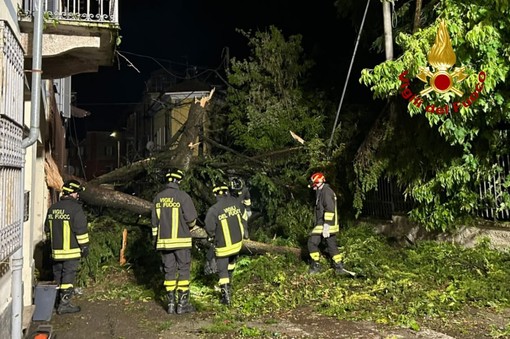 Dal nord ovest: Violento temporale nell'Alessandrino, numerosi interventi dei Vigili del Fuoco nella notte