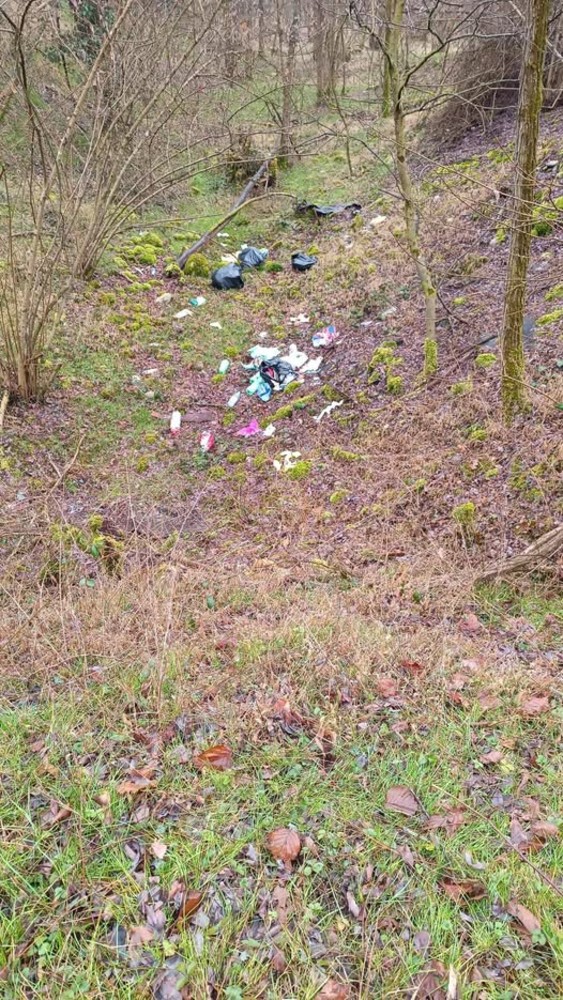 Area boschiva vicino alla Madonna di Rado vittima di abbandono - foto dalla pag. fb del Comitato SalvAmbiente Gattinara
