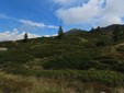 All’Alpe Sorbella biodiversità e pascoli al centro: i monitoraggi confermano i primi risultati All’Alpe Sorbella biodiversità e pascoli al centro: i monitoraggi confermano i primi risultati
