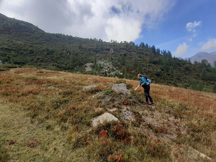 All’Alpe Sorbella biodiversità e pascoli al centro: i monitoraggi confermano i primi risultati