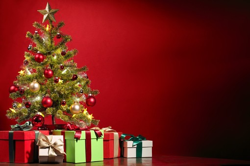 ASCOM Vercelli accende l'Albero dei Piccoli Artisti. ASCOM Vercelli accende l'Albero dei Piccoli Artisti.