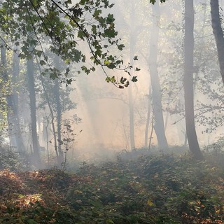 Incendi, il Piemonte regge ma l’Italia brucia: Legambiente lancia l’allarme e chiede un cambio di passo
