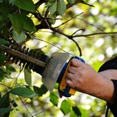 Varallo, al via il progetto “Varallo Verde”: nuovo cantiere di lavoro per disoccupati - foto di repertorio Varallo, al via il progetto “Varallo Verde”: nuovo cantiere di lavoro per disoccupati - foto di repertorio