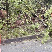Ancora alberi sulla strada, intervento a Trivero (foto di repertorio)