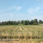 Dalla Regione nuove misure di sostegno per le aziende agroalimentari del Piemonte.