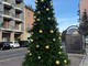 Luci e magia: a Quarona arriva il grande albero di Natale Luci e magia: a Quarona arriva il grande albero di Natale