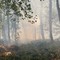 Incendi, il Piemonte regge ma l’Italia brucia: Legambiente lancia l’allarme e chiede un cambio di passo
