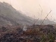 Alpe Noveis, bruciati 12 ettari, ancora Canadair in azione