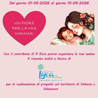Festa della Mamma, azalee solidali per sostenere i progetti di Igea