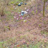 Area boschiva vicino alla Madonna di Rado vittima di abbandono - foto dalla pag. fb del Comitato SalvAmbiente Gattinara