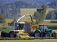 Regione, prorogata 15 marzo 2022 la scadenza del bando 2021 a favore dell’agroindustria Regione, prorogata 15 marzo 2022 la scadenza del bando 2021 a favore dell’agroindustria
