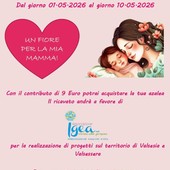 Festa della Mamma, azalee solidali per sostenere i progetti di Igea