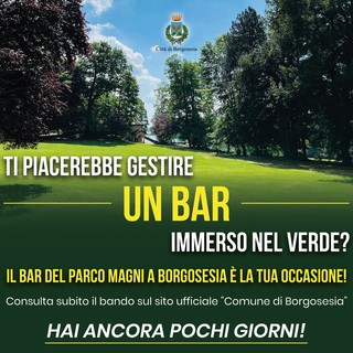 Borgosesia, ultimi giorni per il bando di gestione del bar del Parco Magni