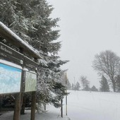 Neve a Bielmonte, il paesaggio è magico (foto dalla pagina Facebook di Bielmonte) Neve a Bielmonte, il paesaggio è magico (foto dalla pagina Facebook di Bielmonte)