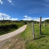 Monte Fenera e zona Boca DOC, un questionario per studiare il rapporto tra territorio e comunità Monte Fenera e zona Boca DOC, un questionario per studiare il rapporto tra territorio e comunità