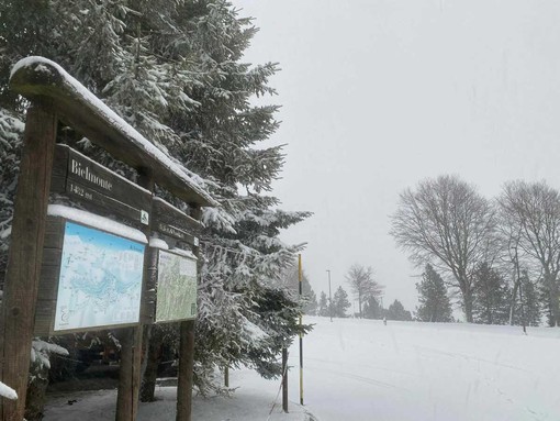 Neve a Bielmonte, il paesaggio è magico (foto dalla pagina Facebook di Bielmonte) Neve a Bielmonte, il paesaggio è magico (foto dalla pagina Facebook di Bielmonte)