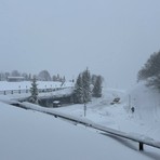 Maltempo, tanta neve sulla strada: chiuse le vie di accesso per Bielmonte (foto dalla pagina Facebook di Bielmonte) Maltempo, tanta neve sulla strada: chiuse le vie di accesso per Bielmonte (foto dalla pagina Facebook di Bielmonte)