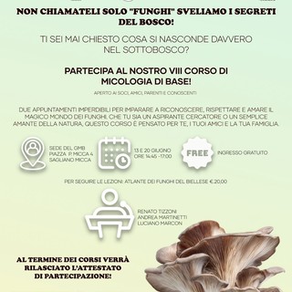 A Sagliano Micca (Biella) il corso di micologia per scoprire i segreti del bosco